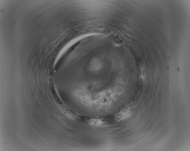 X0000068740519200605051454