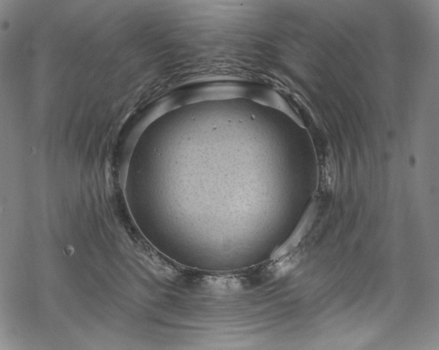 X0000068740520200605051454