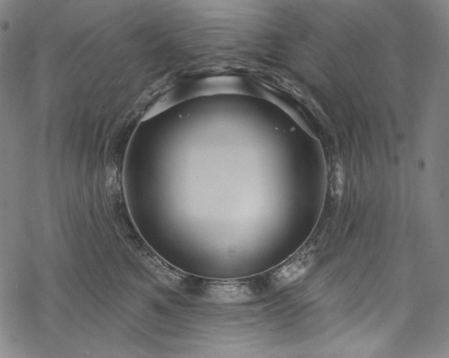 X0000068740521200605051454