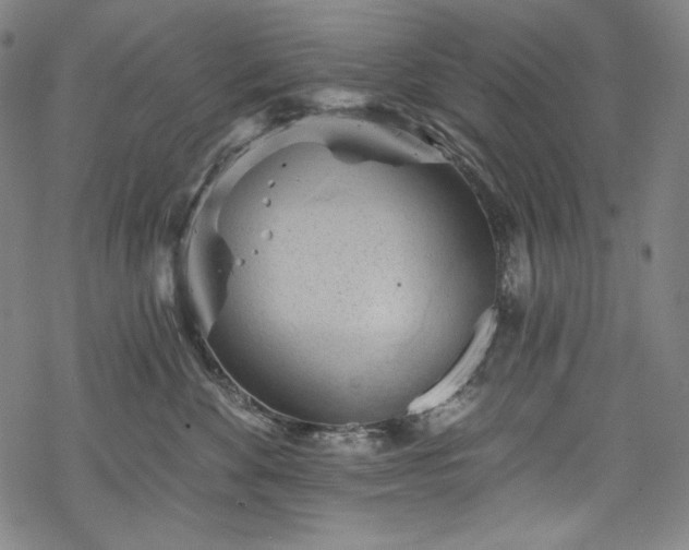 X0000068740524200605051454