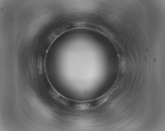 X0000068740525200605051454