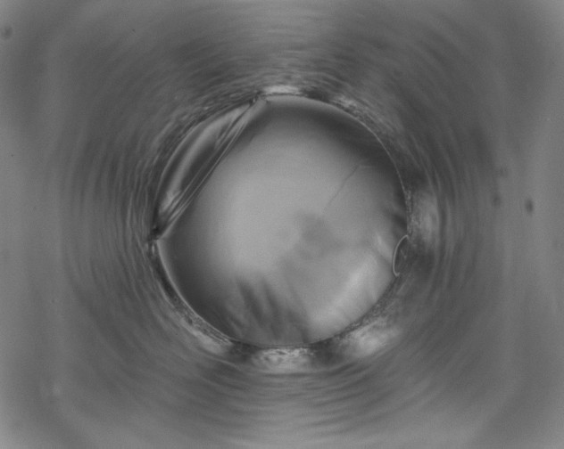 X0000068740526200605051454