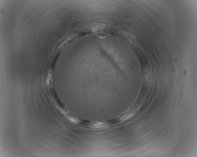 X0000068740527200605051454