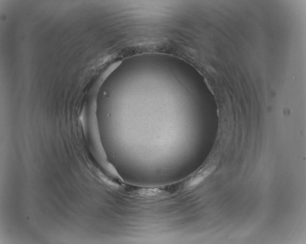 X0000068740528200605051454