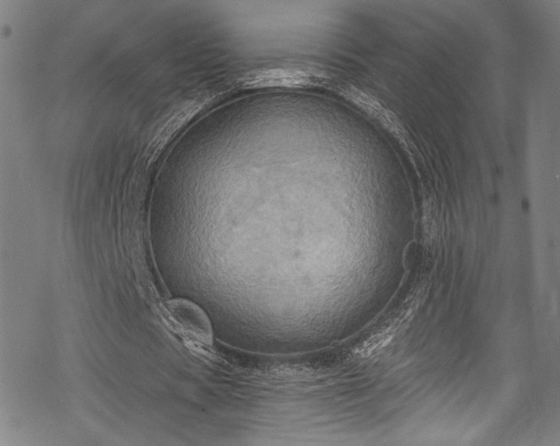 X0000068740529200605051453