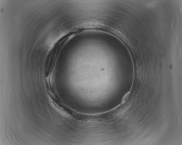 X0000068740530200605051453