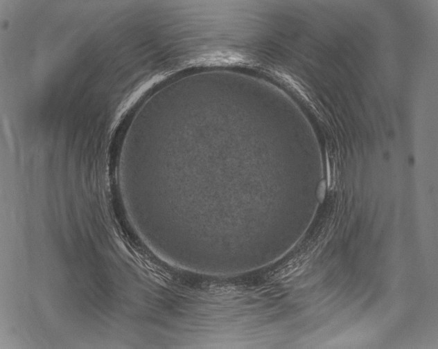 X0000068740531200605051453