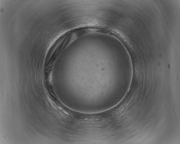 X0000068740532200605051453