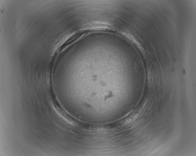 X0000068740533200605051453