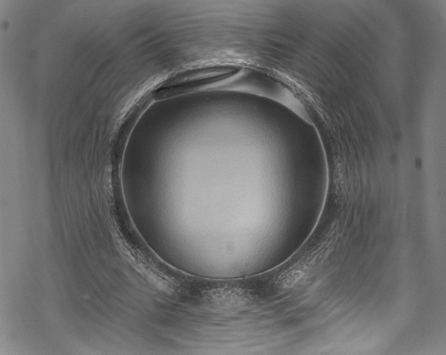 X0000068740535200605051453