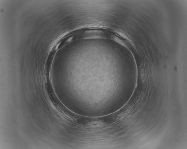 X0000068740536200605051453