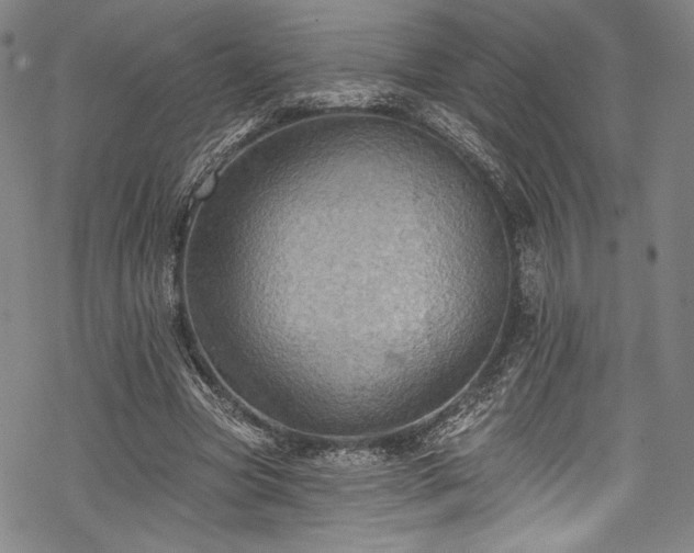 X0000068740537200605051453