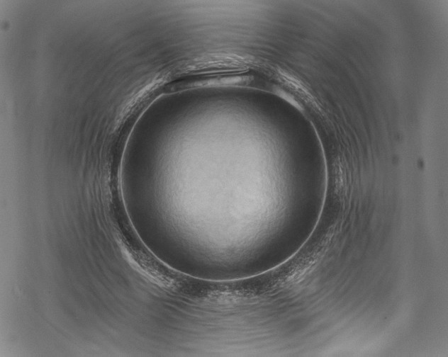 X0000068740538200605051453