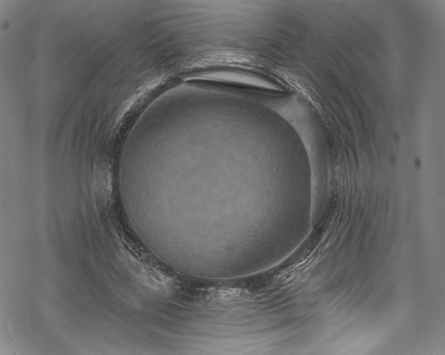 X0000068740539200605051453