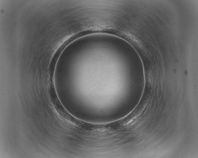 X0000068740540200605051453