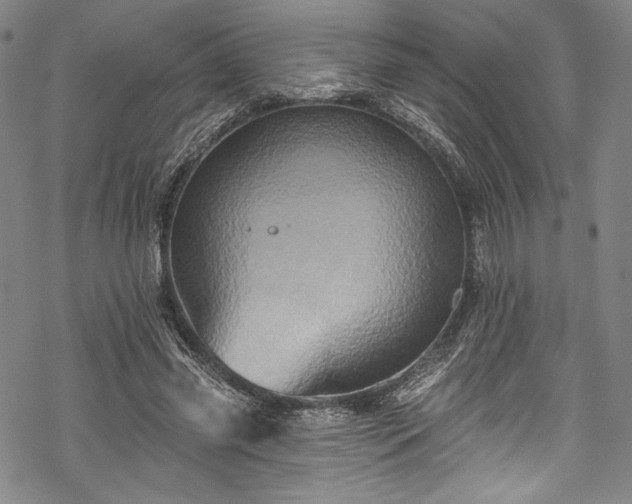 X0000068740541200605051453