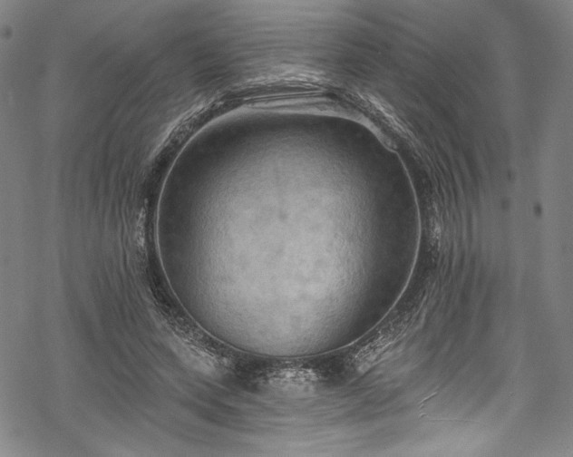 X0000068740543200605051453