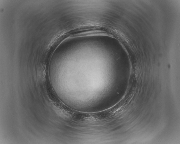 X0000068740544200605051453