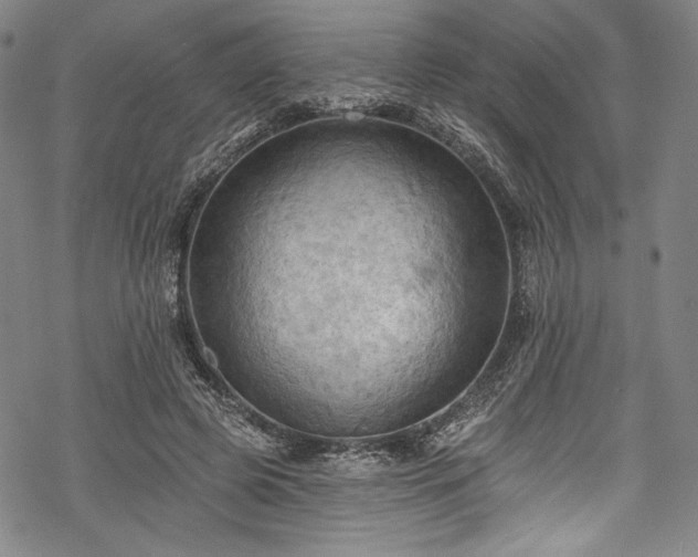 X0000068740545200605051453