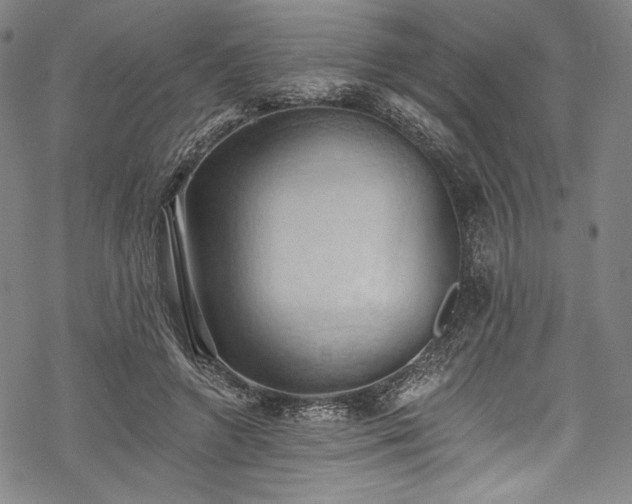 X0000068740546200605051454