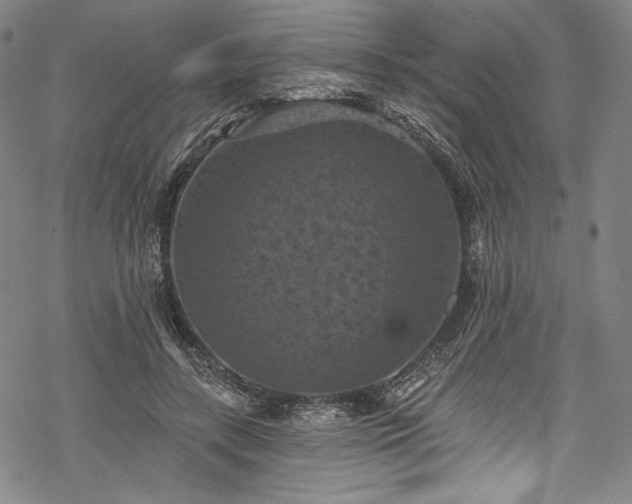 X0000068740547200605051454