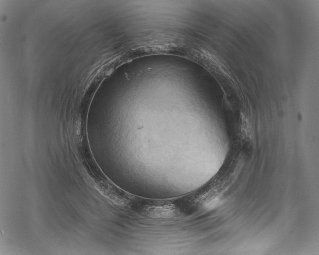 X0000068740548200605051454