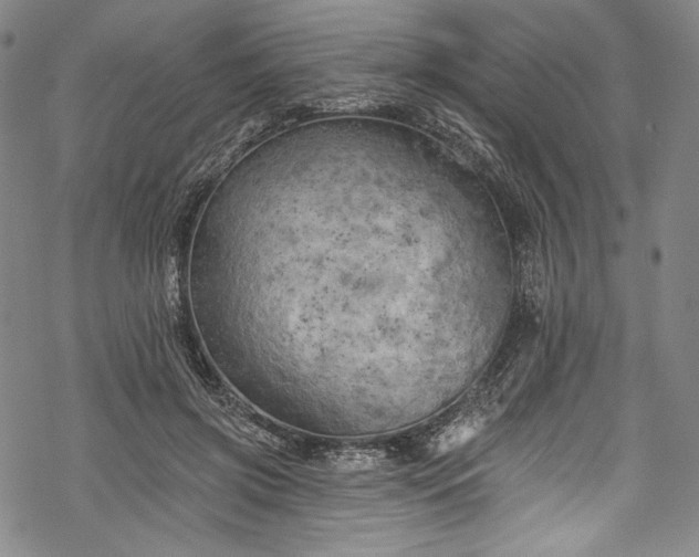 X0000068740549200605051454