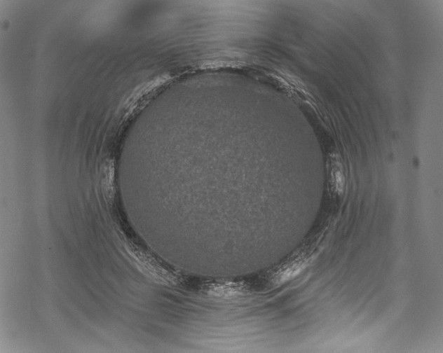 X0000068740550200605051454