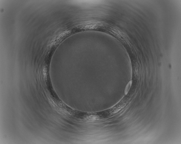 X0000068740551200605051454