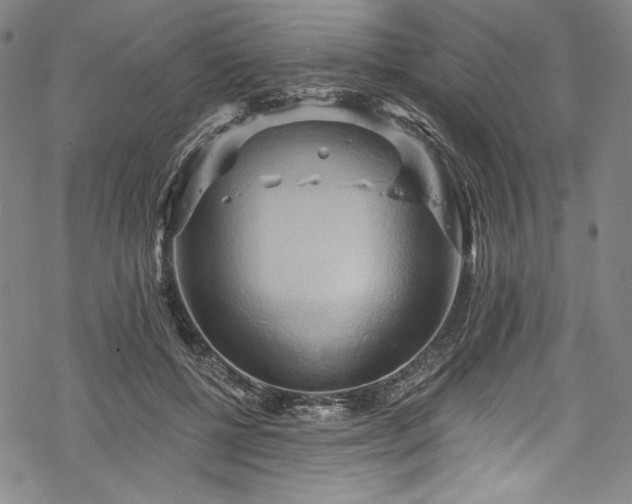 X0000068740552200605051454