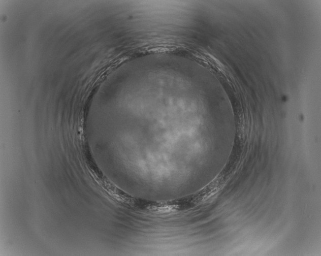 X0000068740553200605051454