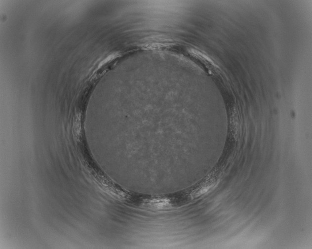 X0000068740554200605051454