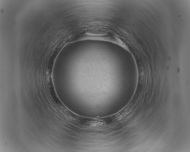 X0000068740555200605051454