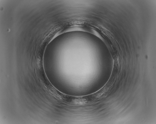 X0000068740556200605051454