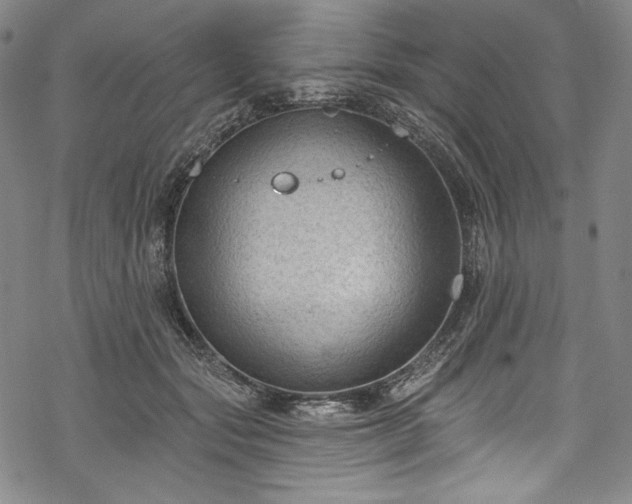 X0000068740557200605051454