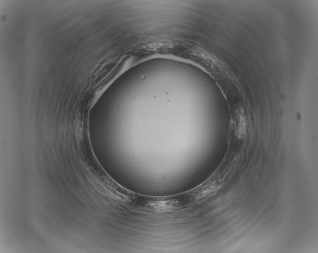 X0000068740558200605051454