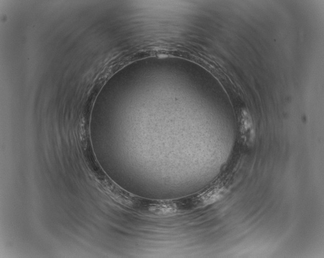 X0000068740559200605051454