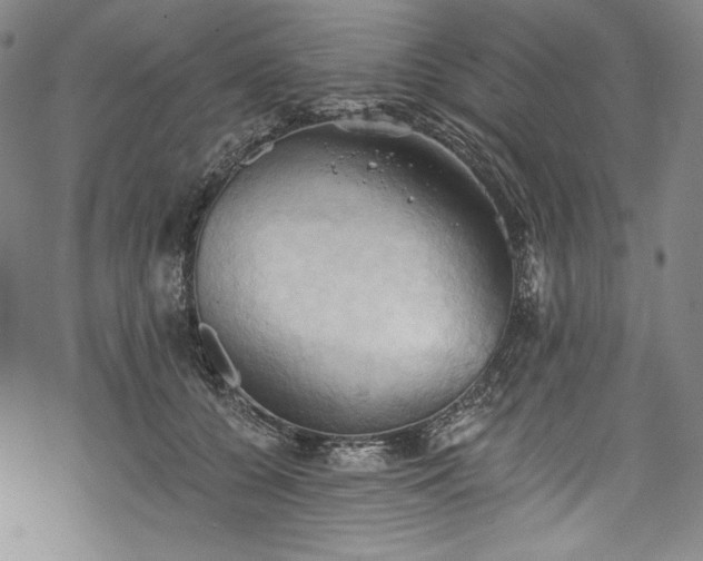 X0000068740560200605051454