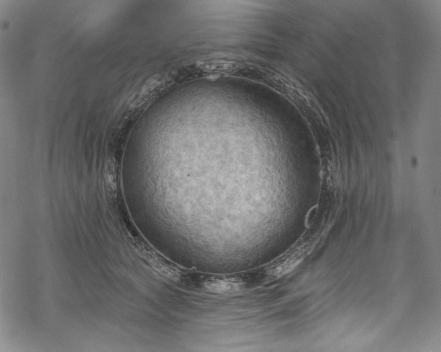 X0000068740561200605051454