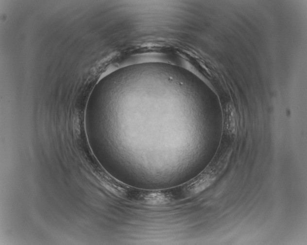 X0000068740562200605051454