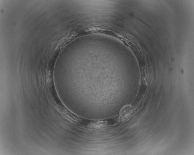 X0000068740563200605051454