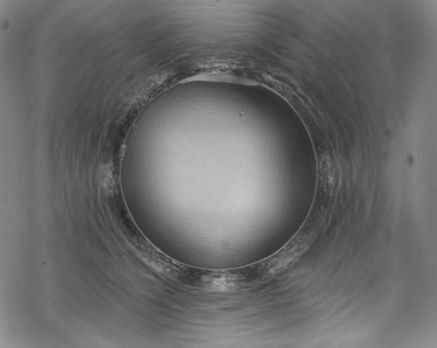 X0000068740564200605051454