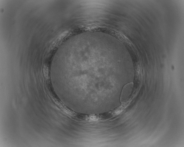 X0000068740565200605051454