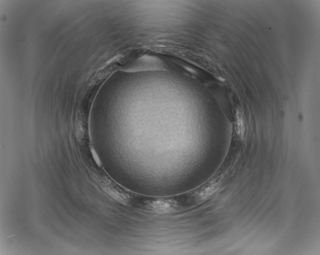 X0000068740566200605051454