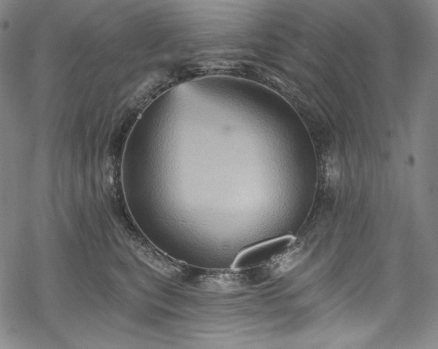 X0000068740567200605051454