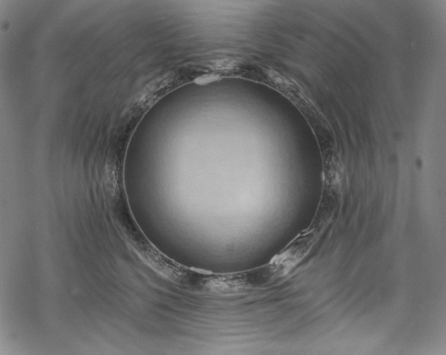 X0000068740568200605051454