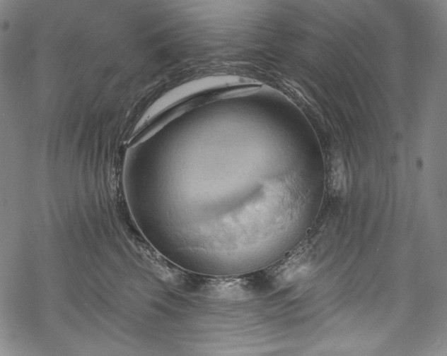 X0000068740569200605051454