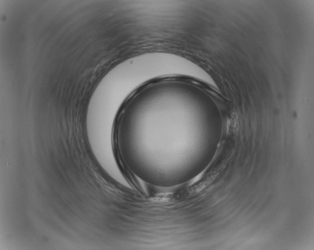 X0000068740570200605051454