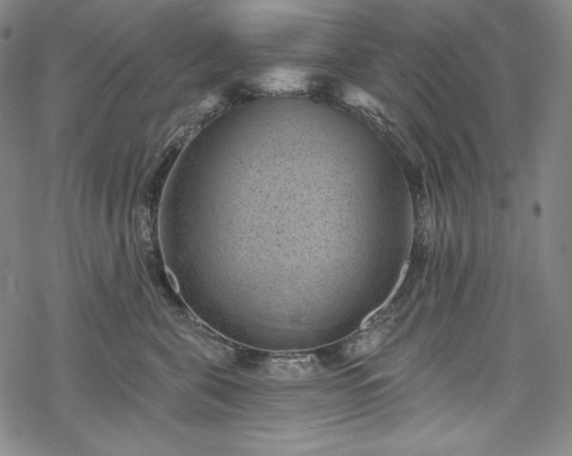 X0000068740571200605051454