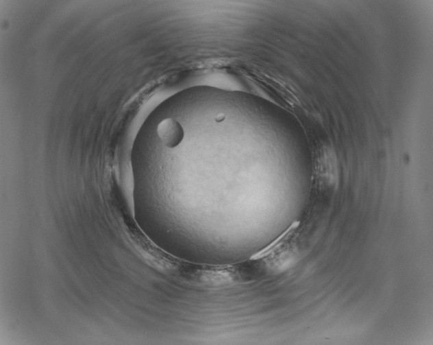 X0000068740572200605051454